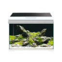 Nano Aquarium Icon