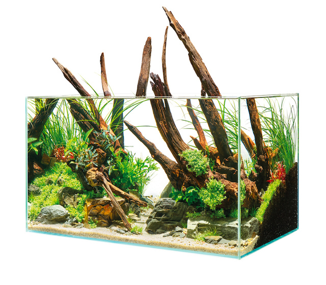 Oase ScaperLine 90 Set Aquarium